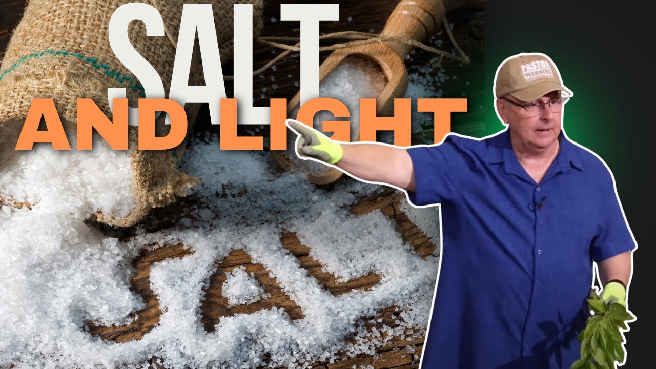 Salt & Light